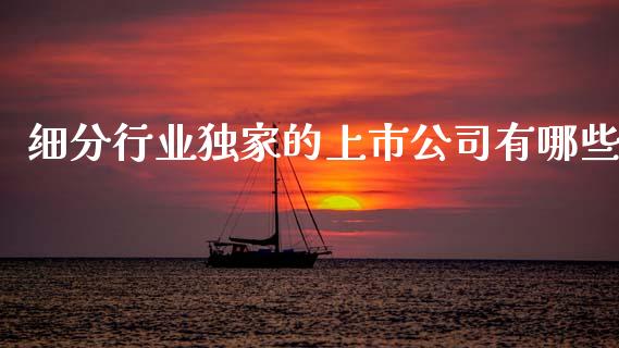 细分行业独家的上市公司有哪些_https://m.qmgjg.com_金融市场_第1张