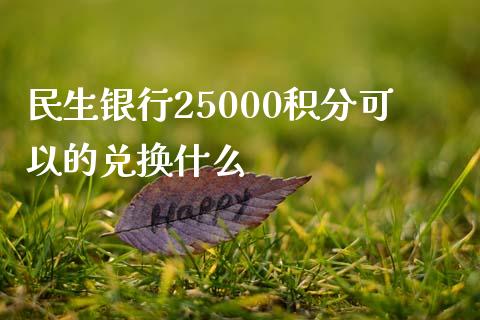 民生银行25000积分可以的兑换什么_https://m.qmgjg.com_金融市场_第1张