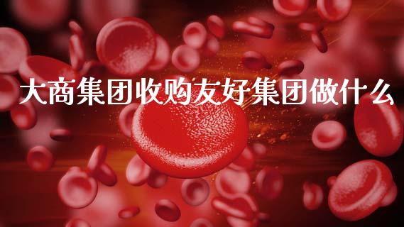 大商集团收购友好集团做什么_https://m.qmgjg.com_货币基金_第1张