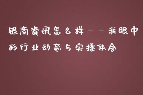 银商资讯怎么样——我眼中的行业动态与实操体会_https://m.qmgjg.com_资金管理_第1张