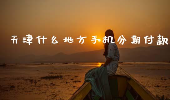 天津什么地方手机分期付款_https://m.qmgjg.com_金融市场_第1张