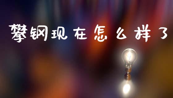 攀钢现在怎么样了_https://m.qmgjg.com_金融市场_第1张
