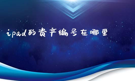 ipad的资产编号在哪里_https://m.qmgjg.com_资金管理_第1张