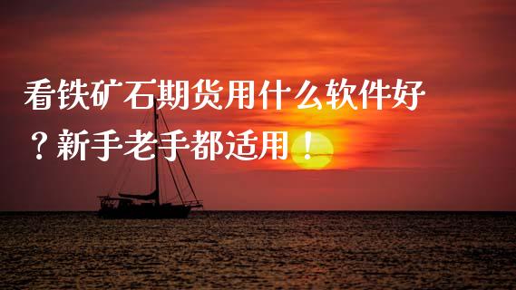 看铁矿石期货用什么软件好？新手老手都适用！_https://m.qmgjg.com_资金管理_第1张
