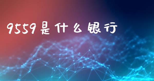 9559是什么银行_https://m.qmgjg.com_投资银行_第1张