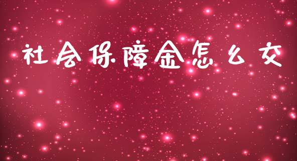 社会保障金怎么交_https://m.qmgjg.com_资金管理_第1张