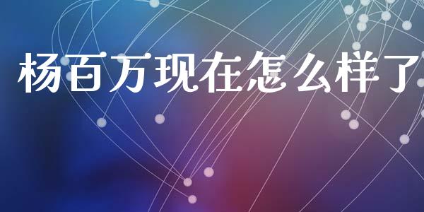 杨百万现在怎么样了_https://m.qmgjg.com_投资银行_第1张