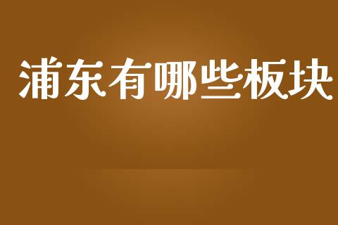 浦东有哪些板块_https://m.qmgjg.com_资金管理_第1张