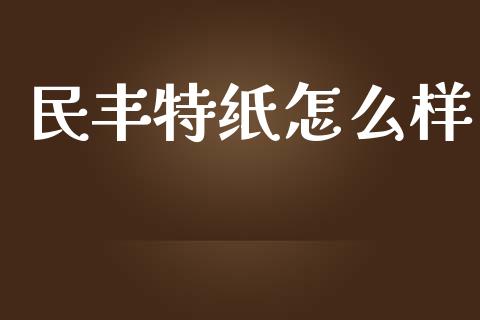 民丰特纸怎么样_https://m.qmgjg.com_资金管理_第1张
