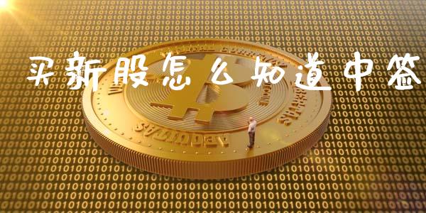 买新股怎么知道中签_https://m.qmgjg.com_投资银行_第1张