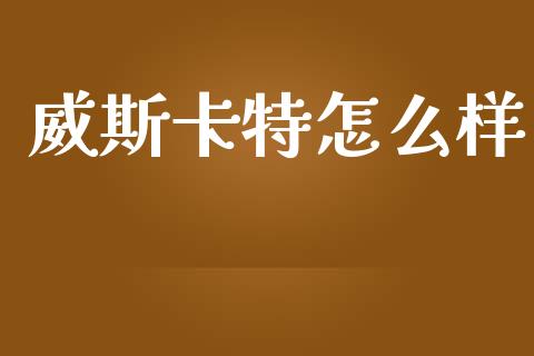威斯卡特怎么样_https://m.qmgjg.com_金融市场_第1张