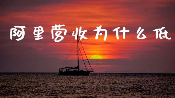 阿里营收为什么低_https://m.qmgjg.com_金融市场_第1张