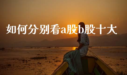 如何分别看a股b股十大_https://m.qmgjg.com_资金管理_第1张
