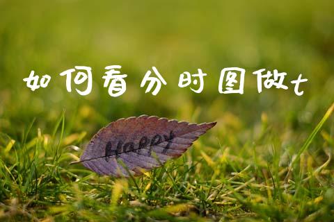 如何看分时图做t_https://m.qmgjg.com_资金管理_第1张