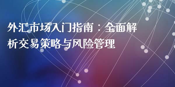 外汇市场入门指南：全面解析交易策略与风险管理_https://m.qmgjg.com_货币基金_第1张