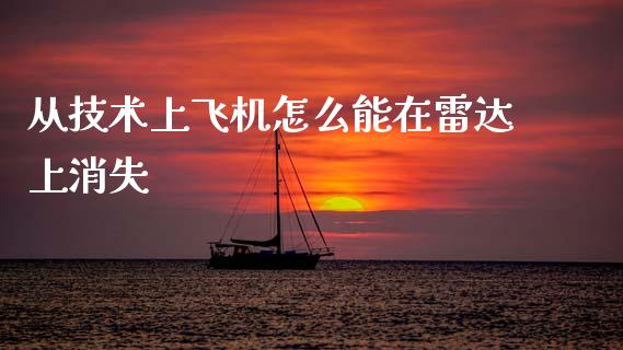从技术上飞机怎么能在雷达上消失_https://m.qmgjg.com_金融市场_第1张