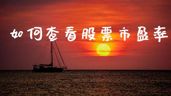 如何查看股票市盈率_https://m.qmgjg.com_资金管理_第1张