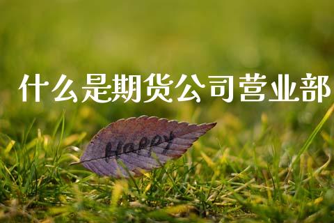 什么是期货公司营业部_https://m.qmgjg.com_投资银行_第1张