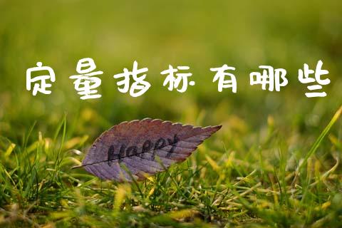 定量指标有哪些_https://m.qmgjg.com_资金管理_第1张
