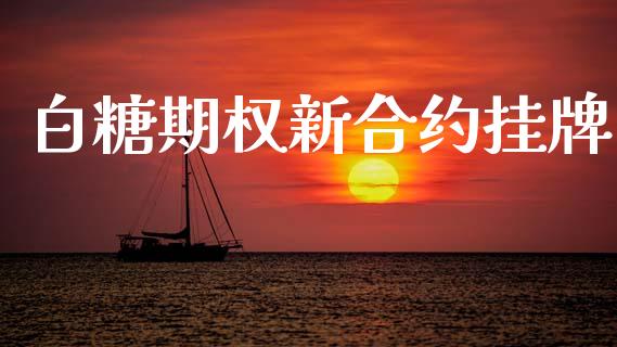 白糖期权新合约挂牌_https://m.qmgjg.com_投资银行_第1张