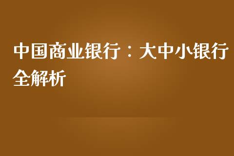 中国商业银行：大中小银行全解析_https://m.qmgjg.com_投资银行_第1张