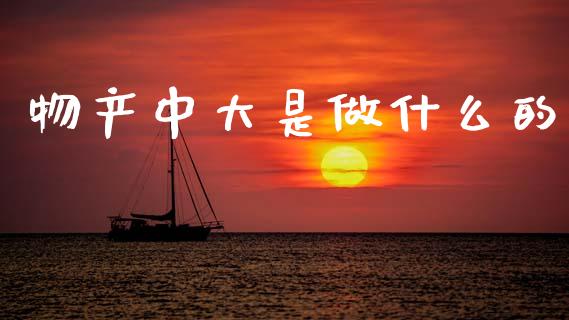 物产中大是做什么的_https://m.qmgjg.com_金融市场_第1张