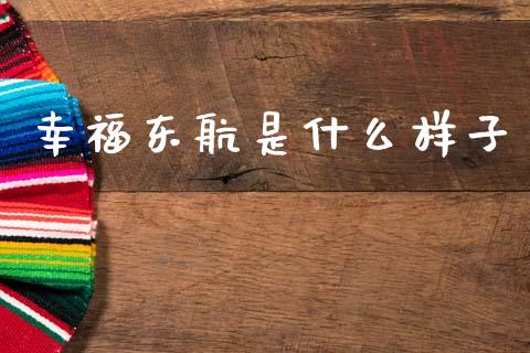 幸福东航是什么样子_https://m.qmgjg.com_金融市场_第1张