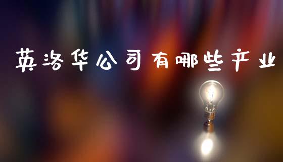 英洛华公司有哪些产业_https://m.qmgjg.com_资金管理_第1张