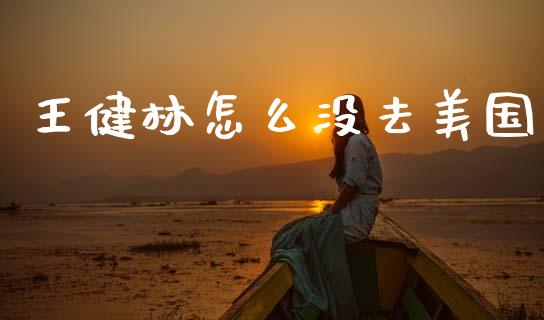 王健林怎么没去美国_https://m.qmgjg.com_资金管理_第1张