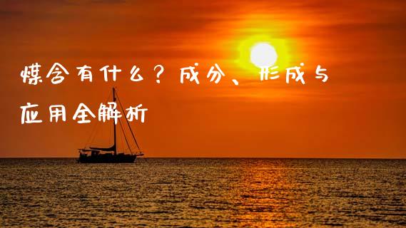 煤含有什么?成分、形成与应用全解析_投资银行_第1张_资金管理_投资银行_金融市场_货币基金 煤含有什么?成分、形成与应用全解析_https://m.qmgjg.com_投资银行_第1张