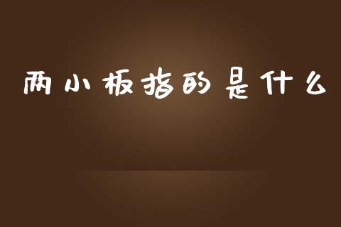 两小板指的是什么_https://m.qmgjg.com_投资银行_第1张