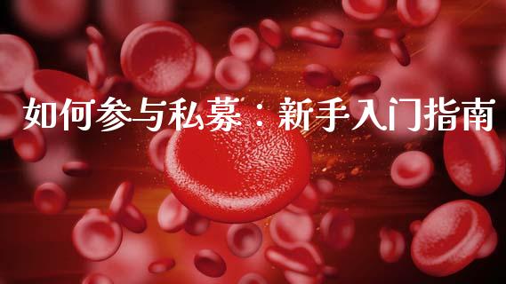 如何参与私募:新手入门指南_金融市场_第1张_资金管理_投资银行_金融市场_货币基金 如何参与私募:新手入门指南_https://m.qmgjg.com_金融市场_第1张