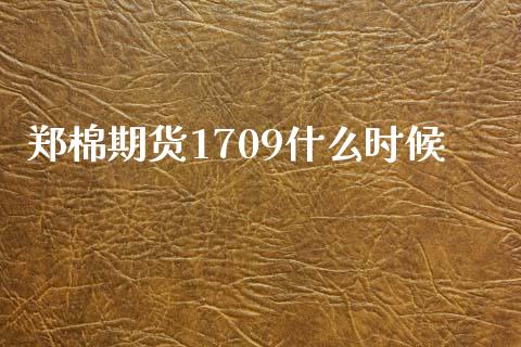 郑棉期货1709什么时候_https://m.qmgjg.com_金融市场_第1张