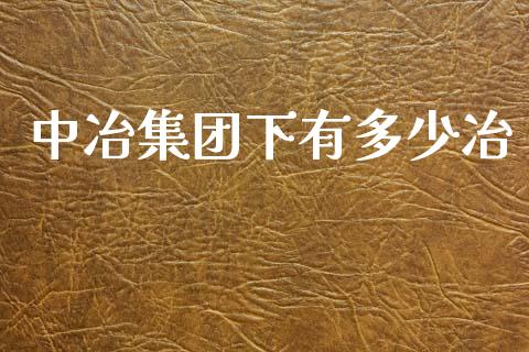 中冶集团下有多少冶_https://m.qmgjg.com_货币基金_第1张