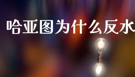 哈亚图为什么反水_https://m.qmgjg.com_资金管理_第1张