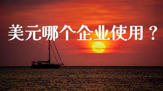 美元哪个企业使用？_https://m.qmgjg.com_投资银行_第1张