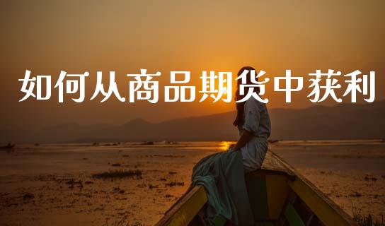 如何从商品期货中获利_https://m.qmgjg.com_金融市场_第1张