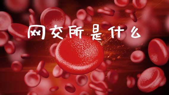 网交所是什么_https://m.qmgjg.com_货币基金_第1张