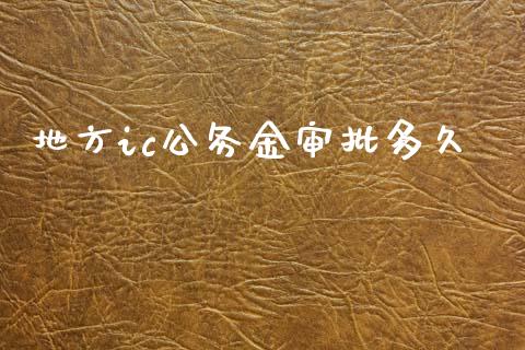 地方ic公务金审批多久_https://m.qmgjg.com_金融市场_第1张
