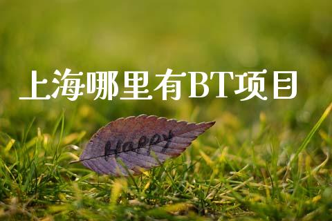 上海哪里有BT项目_https://m.qmgjg.com_金融市场_第1张