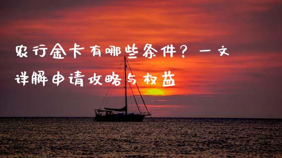 农行金卡有哪些条件？一文详解申请攻略与权益_https://m.qmgjg.com_货币基金_第1张