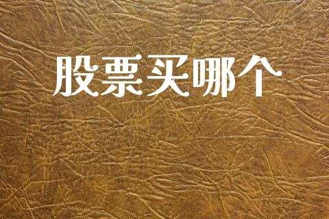 股票买哪个_https://m.qmgjg.com_货币基金_第1张