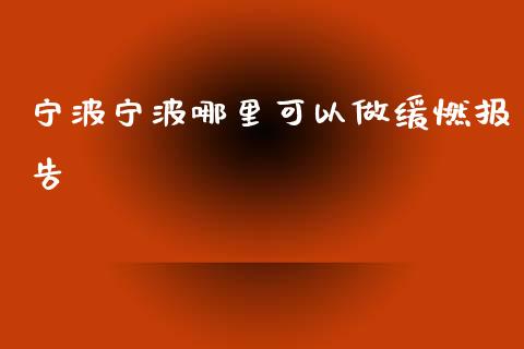 宁波宁波哪里可以做缓燃报告_https://m.qmgjg.com_资金管理_第1张