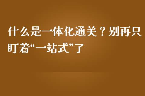 什么是一体化通关？别再只盯着“一站式”了_https://m.qmgjg.com_金融市场_第1张