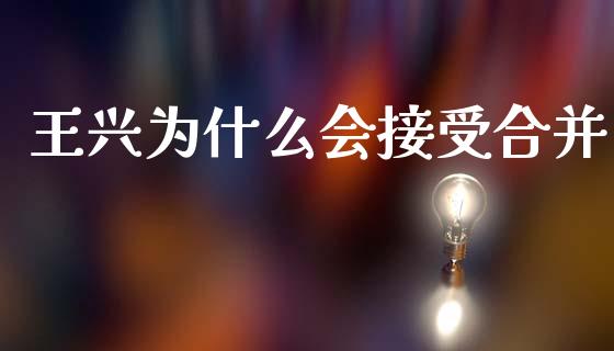 王兴为什么会接受合并_https://m.qmgjg.com_货币基金_第1张