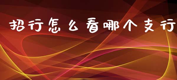 招行怎么看哪个支行_https://m.qmgjg.com_金融市场_第1张