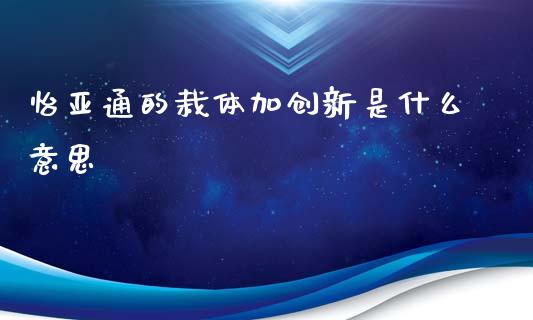 怡亚通的栽体加创新是什么意思_https://m.qmgjg.com_货币基金_第1张
