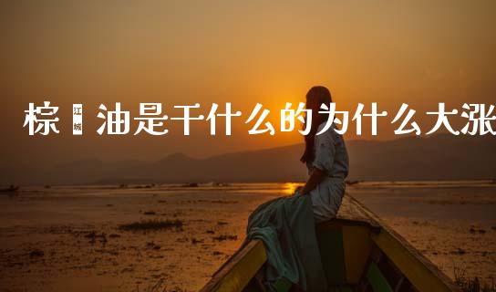棕榈油是干什么的为什么大涨_投资银行_第1张_资金管理_投资银行_金融市场_货币基金 棕榈油是干什么的为什么大涨_https://m.qmgjg.com_投资银行_第1张
