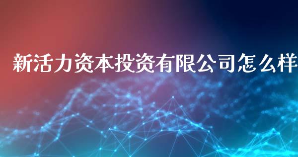 新活力资本投资有限公司怎么样_https://m.qmgjg.com_投资银行_第1张