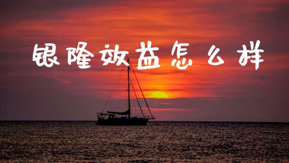 银隆效益怎么样_https://m.qmgjg.com_资金管理_第1张
